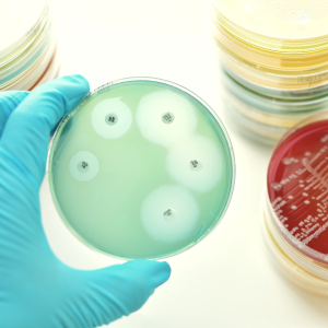 Curso Prevenção e Controlo de Doenças Infeciosas