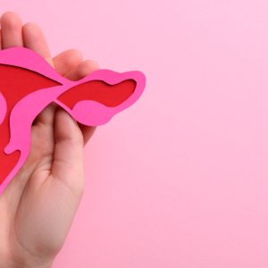 Curso “Da Infertilidade ao Puerpério”